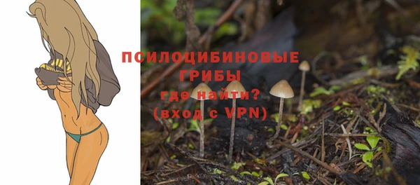 бошки Верхнеуральск
