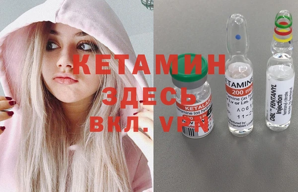 дживик Дегтярск