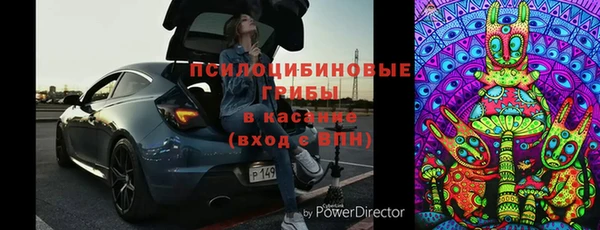 трава Бородино