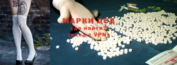 трава Бородино