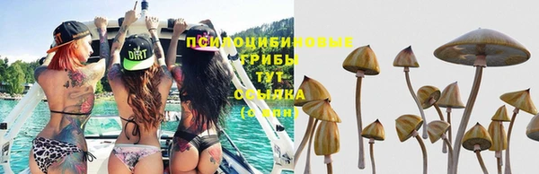 бошки Верхнеуральск